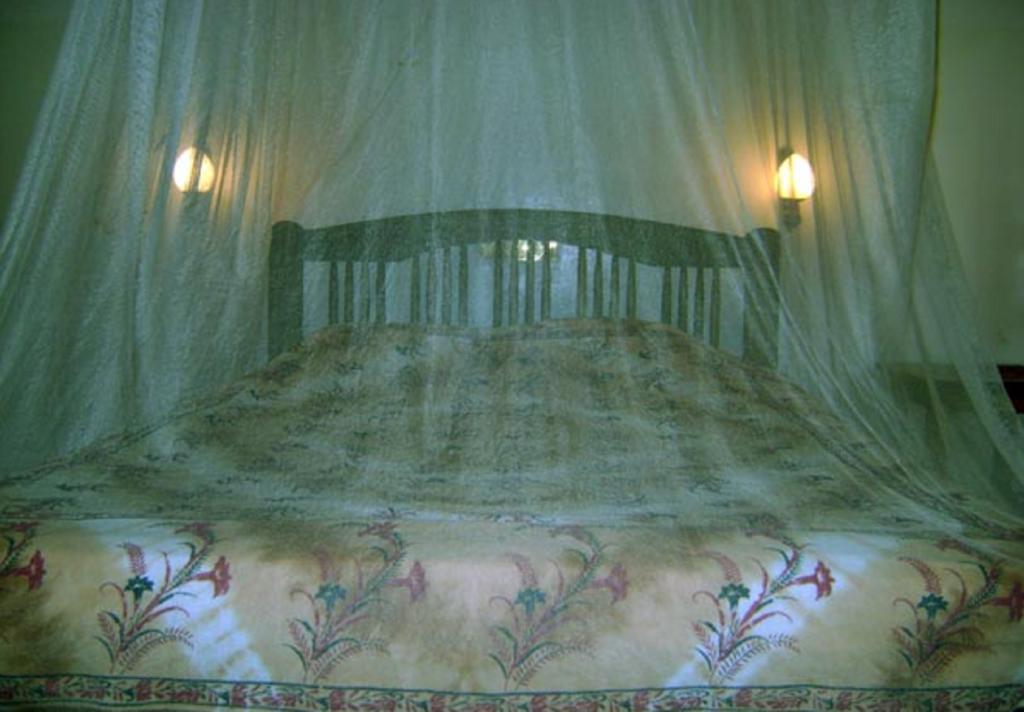 Palm Garden Home Stay Deiyannewela Bilik gambar